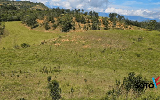 DOS PARCELA EN VENTA EN CURITI