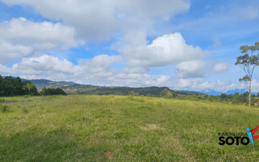 DOS PARCELA EN VENTA EN CURITI