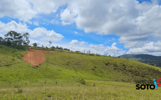 DOS PARCELA EN VENTA EN CURITI