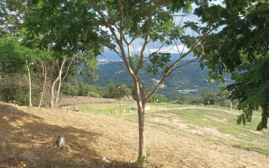 CONTEMPLA UN PAISAJE MARAVILLOSO