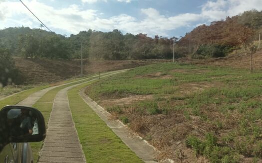 CONTEMPLA UN PAISAJE MARAVILLOSO