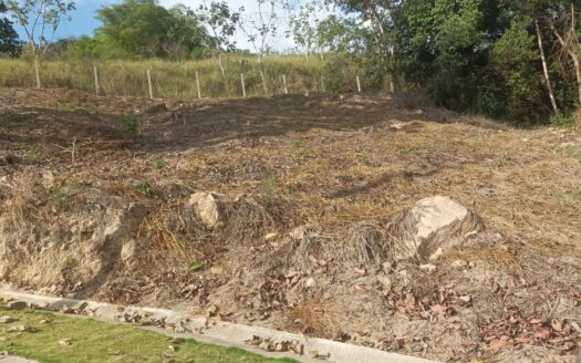 CONTEMPLA UN PAISAJE MARAVILLOSO
