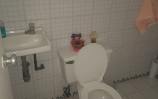 CASA AMPLIA Y MUY BIEN SITUADA EN LA VICTORIA