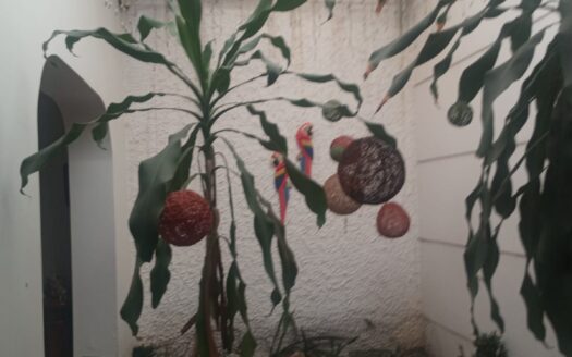 CASA AMPLIA Y MUY BIEN SITUADA EN LA VICTORIA