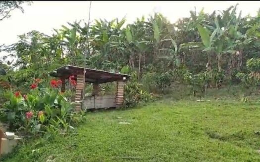 SE VENDE FINCA UBICADA EN CERRO DE LA AURORA, LEBRIJA