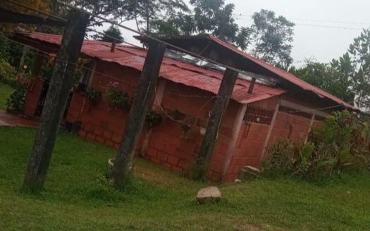 SE VENDE FINCA UBICADA EN CERRO DE LA AURORA, LEBRIJA