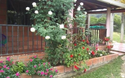 SE VENDE FINCA UBICADA EN CERRO DE LA AURORA, LEBRIJA